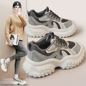 Nouvelle Arrivée 2026 – Chaussures Femme Haute Qualité à Semelle Épaisse, Style Vintage, Lacets, Antidérapantes, Respirantes, Tendance Intemporelle Blanches pour l'Automne - Product Image 1