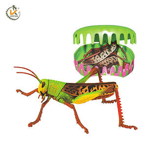 3D insecte Coléoptère puzzle jouet pour jouets éducatifs - Product Image 2