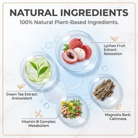 Patchs apaisants pour l'équilibre émotionnel à marque privée avec complexe de vitamine B, couche supérieure biodégradable, patchs anti-stress