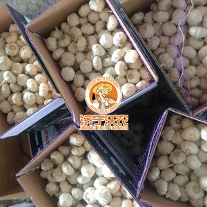 <span class=keywords><strong>Ail</strong></span> en vrac de bonne qualité, fabriqué en Chine, à prix abordable, Allium Sativum, bienfaits pour la santé, livraison rapide - Product Image 6