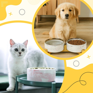 Support en bois de bambou naturel écologique pour gamelles et mangeoires d'animaux, avec logo personnalisé, pour gamelles et assiettes en céramique pour chiens, fournitures pour animaux de compagnie, vente en gros - Product Image 5