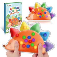 Jouets de tri des couleurs Jouets sensoriels Correspondance des couleurs Fidget Soulagement de l'anxiété Anti Stress Motricité fine Jeu Jouets pour les tout-petits