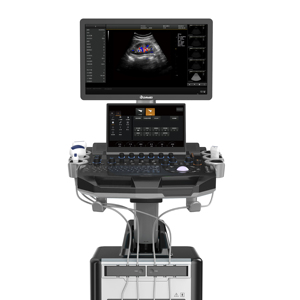 Ecógrafo Veterinario Dawei DW-T30 con Tecnología de Submatriz y Carro, Precio Económico en China, para Animales Pequeños - Product Image 1
