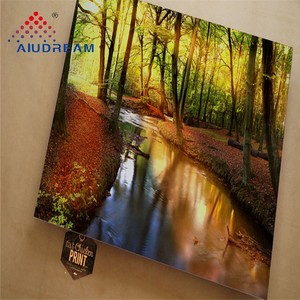 Plaque en alliage d'aluminium (ACP) haute résistance à la corrosion, série 1000, ustensile de cuisine, palette en bois, revêtement PE, antibactérien - Product Image 1