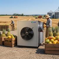 Energiebesparende warmtepomp fruitdroogmachine, lage temperatuur dehydrator, commercieel