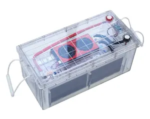 Oem Odm Batterij 12V 200ah Diepe Cyclus Lithium Ion Batterij Transparant Plastic Behuizing 12V Batterij