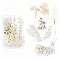 Kit de fleurs séchées vertes en boîte : mousse de renne, eucalyptus, cône de pin pour bougies parfumées DIY, couronne de Noël, décoration artisanale