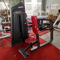 YG FITNESS YG-1020 Machine à dips assis conviviale et réglable pour l'exercice des triceps et des bras, équipement d'entraînement pour centre de fitness