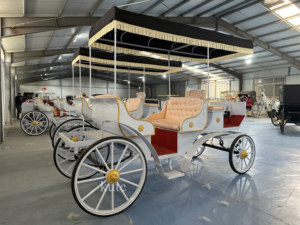 Carroza Eléctrica Blanca para Turismo, Suministro Directo de Fábrica China, Asiento Rojo, Patrones y Colores Personalizados, Certificación CE - Product Image 4