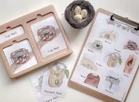 JET OEM Jouets Montessori d'éveil, Tableau d'illustration de cartes en trois étapes, Matériel pédagogique en bois de hêtre, Jouets éducatifs pour enfants