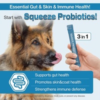 Supplément Probiotique pour Chiens en Gros (OEM/ODM) 450g – Ingrédients Personnalisés Sûrs pour la Santé Intestinale des Animaux – Pâte Nutritionnelle pour Tous