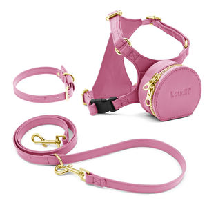 Disesuaikan elegan dan tahan air lembut kulit Harness anjing dengan tas penyimpanan ransel kantong dan Set tali hewan peliharaan mewah rompi dada - Product Image 3