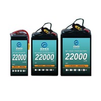 Livraison express inspection du circuit de photographie aérienne 10C 22000mAh 14S 51.8V batterie drone