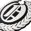 <span class=keywords><strong>Prix</strong></span> usine Haute qualité Fer sur Chenille insigne d&amp;#39;épaule patch - Product Image 2