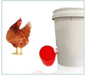 Gà uống cốc TYC tự động điền uống cốc gia cầm vịt gà mái chim cút thỏ động vật uống gà cốc nước - Product Image 3