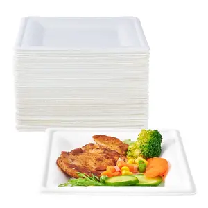 Disposable Paper Square Compostable Biodegradable Dinner White 10 6 8 Inch christmas Plate Bagasses Pulp tray dish tableware