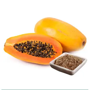 100% Natural 10:1 20:1 Extracto de semilla de papaya