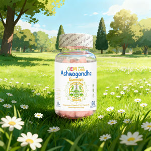 Gummies ashwagandha gummies 60ส่งเสริมการทำงานของสมองและเสริมสร้างระบบภูมิคุ้มกัน - Product Image 6