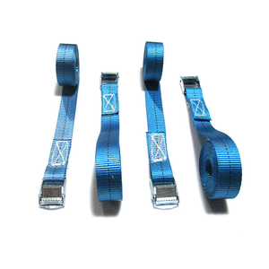 Großhandel Hochfeste 25mm Klemmschnalle Ladungssicherungsgurt mit Haken, Tiefenfarben-Polyester-Gurtband, Anpassbare Länge, Hebegurt - Product Image 2