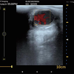 Échographe vétérinaire portable BMV S5 Plus avec sonde transrectale, Doppler couleur, batterie intégrée, garantie <span class=keywords><strong>de</strong></span> 2 ans pour les chèvres - Product Image 5