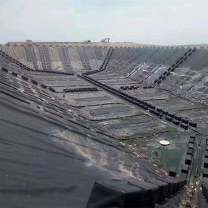 Membrane d'étanchéité souterraine à prix abordable, noir, bleu, vert, membrane anti-humidité DPM, film plastique, géomembrane - Product Image 6