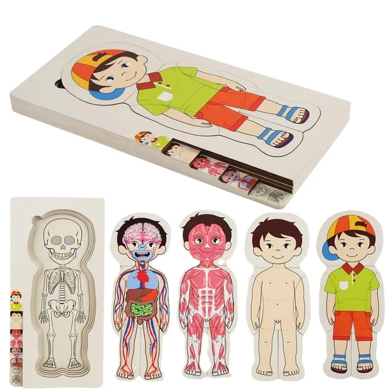 2312 madera nuevo niño multicapa esqueleto humano órgano caja de rompecabezas juego de rompecabezas para niños mesa de rompecabezas