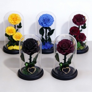 Rose éternelle sous cloche en verre, plusieurs tailles, cadeau pour la Saint-Valentin, Noë<span class=keywords><strong>l</strong></span>, décoration d'intérieur, ornement, directement <span class=keywords><strong>de</strong></span> <span class=keywords><strong>l</strong></span>'usine - Product Image 1