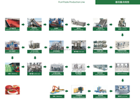 Verse Sap Verwerking Lijn Plant/Sap Productie Machines/Vruchtensap Apparatuur Voor Verkoop