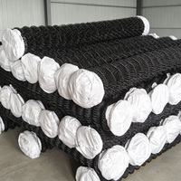 Clôture en treillis métallique galvanisé et recouvert de PVC, panneau en maille losange, clôture de sécurité pour jardin et ferme, anti-corrosion