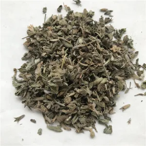 Bulk Natural Organic Dried Herb Catnip Leaves Nepeta Cataria Cat Mint For Cat