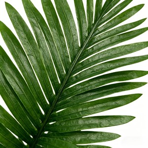 Hojas de Palma Artificiales - Product Image 5