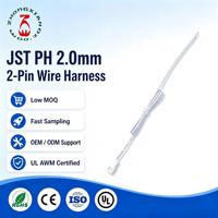 Câble Pigtail JST PH 2.0mm 2 Broches Femelle à Extrémité Unique, 28AWG PVC, 100% Testé, OEM LiPo RC, Vente Directe Usine