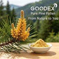 Poudre de pollen de pin à 98 % de cellules murales brisées, naturelle, de Pinus Massoniana, matière première en vrac pour compléments alimentaires – Approvisionnement direct usine