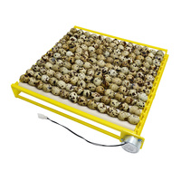 Plateau à œufs à rouleau avec moteur, 110/220v ou DC 12v, 42 unités, couveuse automatique de poulet, caille
