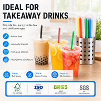 Pajitas Desechables de Plástico PP de Grado Alimenticio, Color Negro, Envueltas Individualmente, Ecológicas y Reciclables para Jugos, Café y Fiestas