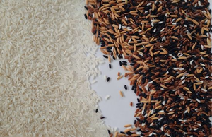 Trieur de polymères AMD 4-Chute série GI, film polyester, GI4, trieur de polymères, trieur de couleurs de plastique - Product Image 5