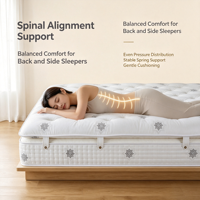 Matelas de luxe en poches à ressorts de cheveux de cheval, taille King Queen, avec surmatelas Pillow Top, pour hôtel et villa, design en boîte, naturel