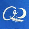 Dongguan Qingda Garments Co., Ltd. logo