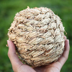 Pet Hamster Totoro Lapin Oiseau <span class=keywords><strong>Cloche</strong></span> Herbe Balle Jouet Durable Molaire Jouer Boule de <span class=keywords><strong>Foin</strong></span> avec <span class=keywords><strong>Cloche</strong></span> Intégrée pour Petits Animaux - Product Image 2