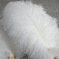 Natürlichen Handwerk Feder Großen Weißen Straußen Feder Für Hochzeit Und Party Dekoration 60cm-65cm