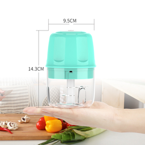 Stainless Steel Kitchen Appliances 250ml <b>Mini</b> Food Chopper Blender Onion Garlic Meat Crusher - Product Image 1