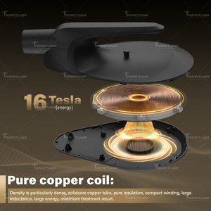 Perfectlaser EMT+EMS 2 en 1, Moldeador Corporal, 135HZ, Alta Frecuencia, Reafirmación de la <span class=keywords><strong>Piel</strong></span>, Desarrollo Muscular, Dispositivo de Belleza - Product Image 3