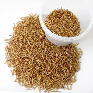 Alimento puro 100% Natural <span class=keywords><strong>para</strong></span> mascotas, 400g <span class=keywords><strong>sin</strong></span> gusanos secos añadidos <span class=keywords><strong>para</strong></span> aves silvestres - Product Image 2