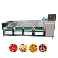Hete Aanbieding Automatische Groente- en Fruit Sorteermachine, Appelsorteermachine, Aardappel-, Sinaasappel-, Citroen- en Tomatensorteermachine