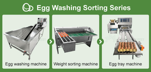 Điện Chất Lượng Cao Tự Động Trứng Nhà Máy Trứng Phân Loại Máy/Ngỗng Trứng Trọng Lượng Phân Loại Máy/Vịt Trứng Kích Thước Lựa Chọn Máy - Product Image 3