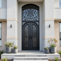 Porte d'entrée principale en fer forgé de luxe NFRC, double, sur mesure