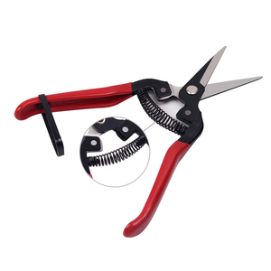 מטע מקצועי קטיף גן מספריים פרחים פרונרים גומי ידית ענבים - Product Image 6