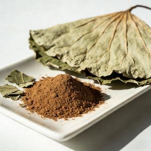 天然ハーブエキス 10:1 蓮の葉エキス粉末 純度99% 食品グレード 真空パックドラム - Product Image 3