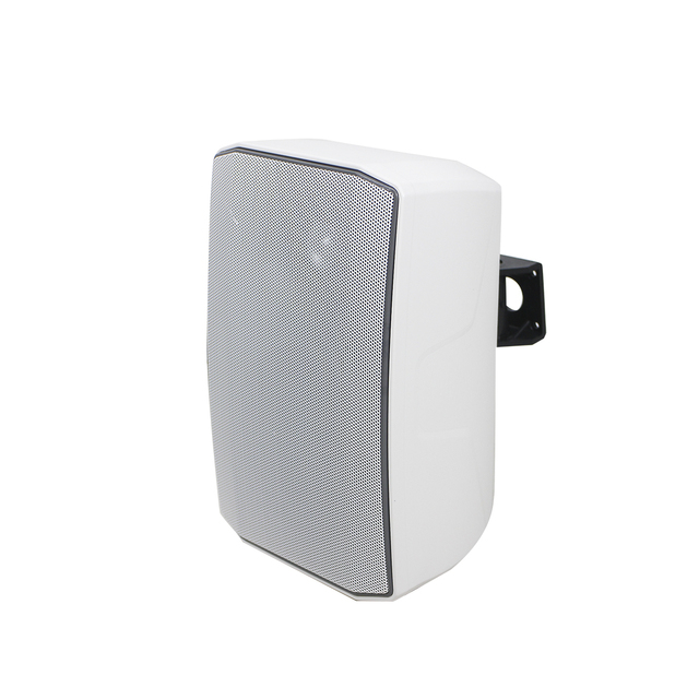 T 6 Inch Subwoofer 30W Wall Mount Loudspeaker Outdoor Waterproof Wall Speaker With 0.75-inch Tweeter