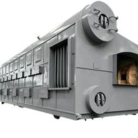 Chaudière à vapeur horizontale automatique à double tambour SZL de 10 tonnes pour biomasse, pression personnalisable disponible